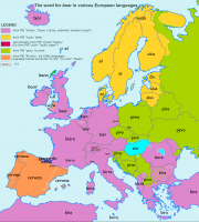 Etymology of everyday words | Beer Etymology of everyday words | Beer