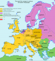 Etymology of everyday words | Orange Etymology of everyday words | Orange